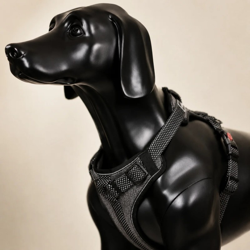 Arnés de seguridad Rukka Star para perro con asa | Smartdog
