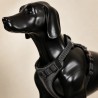 Arnés de seguridad Rukka Star para perro con asa | Smartdog