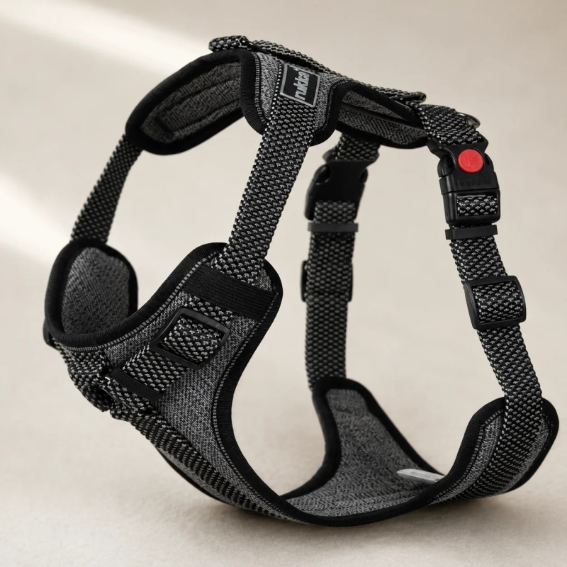 Arnés de seguridad Rukka Star para perro con asa | Smartdog