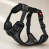 Arnés de seguridad Rukka Star para perro con asa | Smartdog