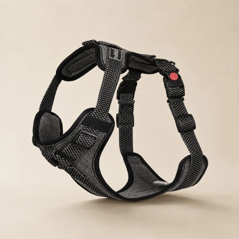 Arnés de seguridad Rukka Star para perro con asa | Smartdog