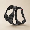 Arnés de seguridad Rukka Star para perro con asa | Smartdog