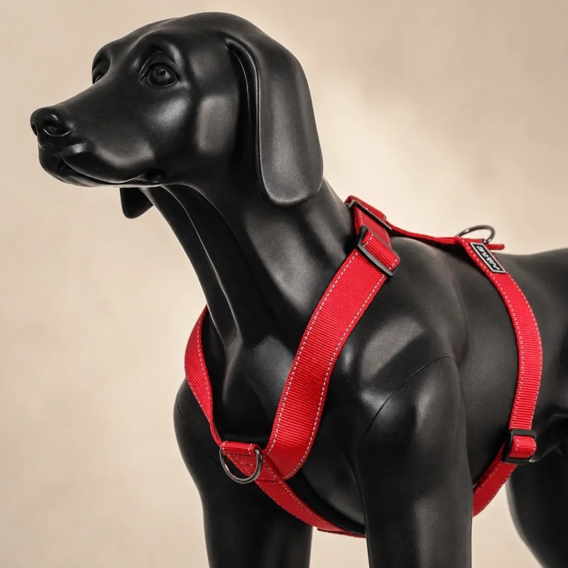 Arnés Rukka Form rojo en Y y reflectante | Smartdog