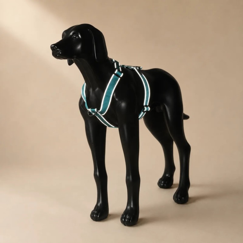 Arnès Rukka Form blau ajustable i reflectant | Smartdog