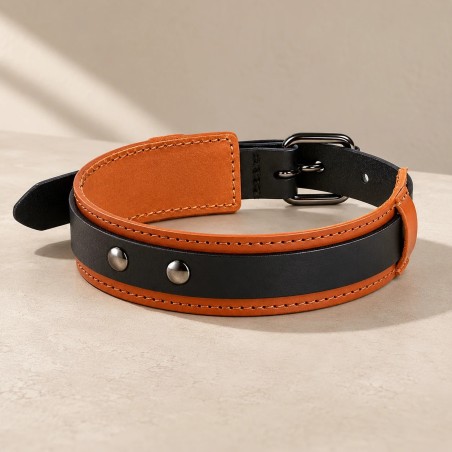 Collar de cuero doble capa Rukka para perro | Smartdog