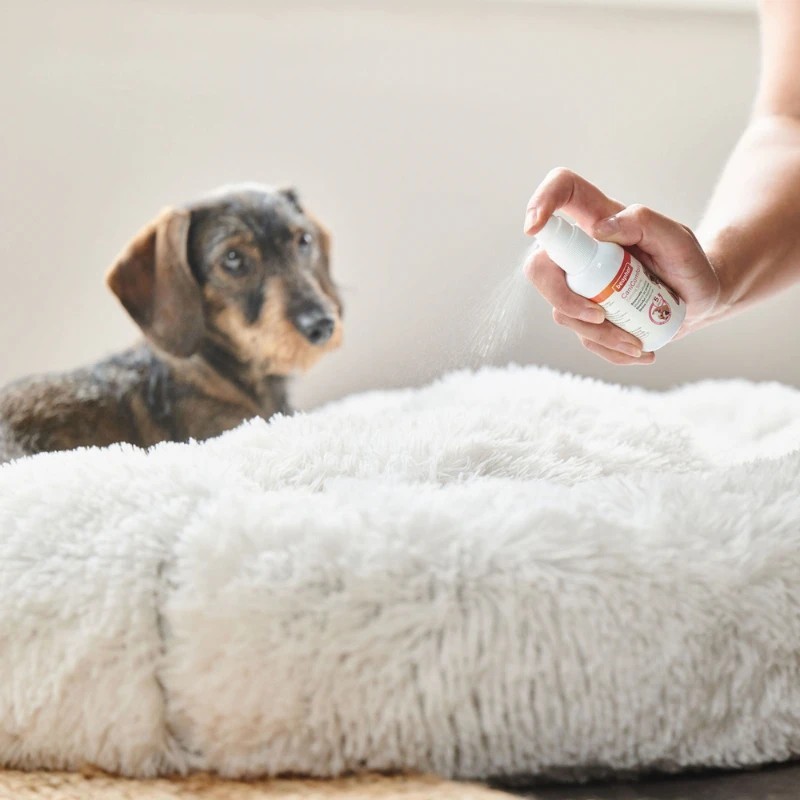 CANICOMFORT Spray Beaphar antiestrès per a gossos 60 ml