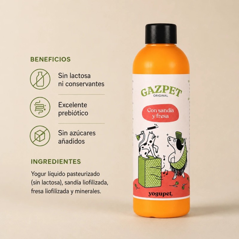 Yogupet Summer Box XV pack verano para perros