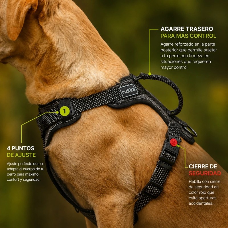 Arnès de seguretat Rukka Star per a gos amb nansa | Smartdog