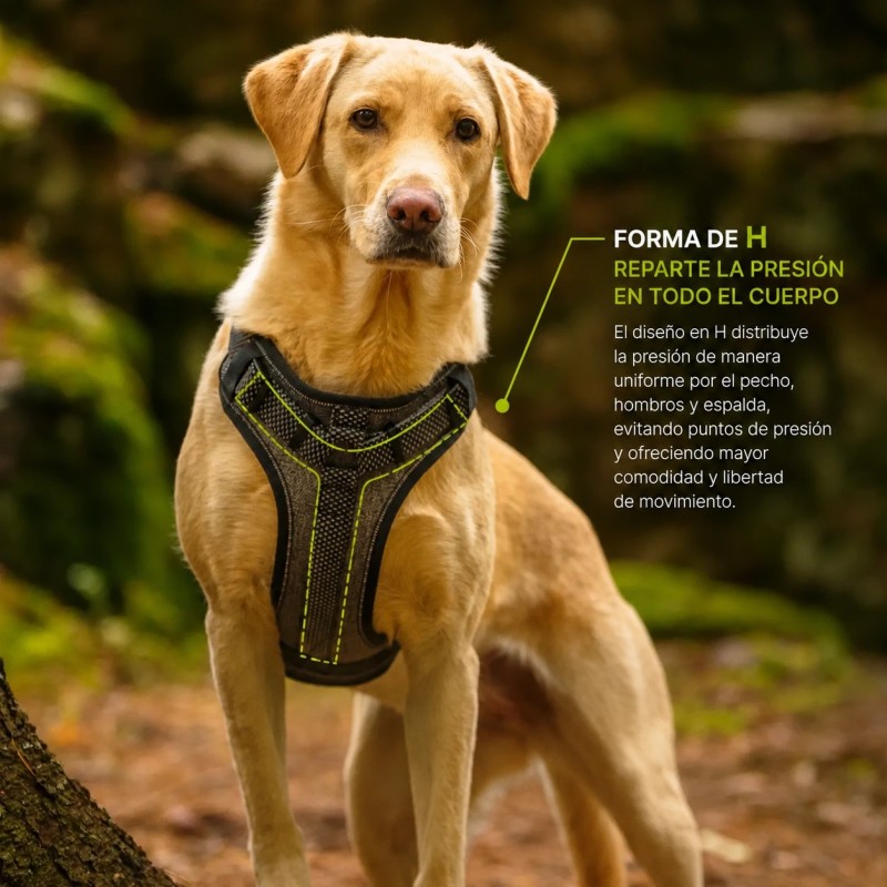 Arnés de seguridad Rukka Star para perro con asa | Smartdog