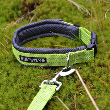 Collar Icepeak Pet Grand X acolchado y reflectante