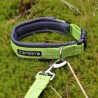 Collar Icepeak Pet Grand X acolchado y reflectante