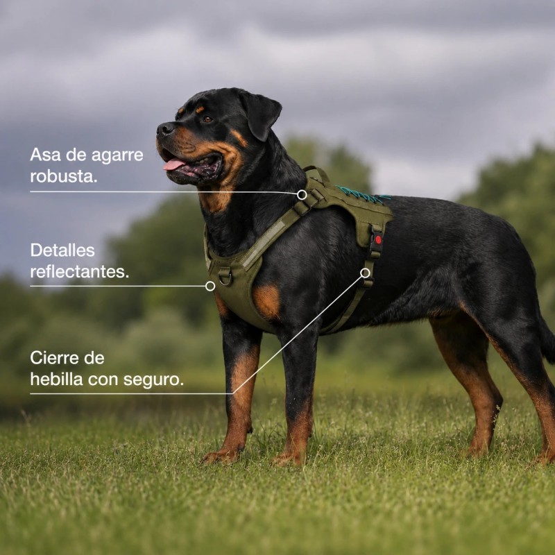 Arnés Rukka Bliss X Trek para perro | Montaña y paseo