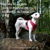 Arnés Rukka Comfort Air fucsia transpirable | Smartdog