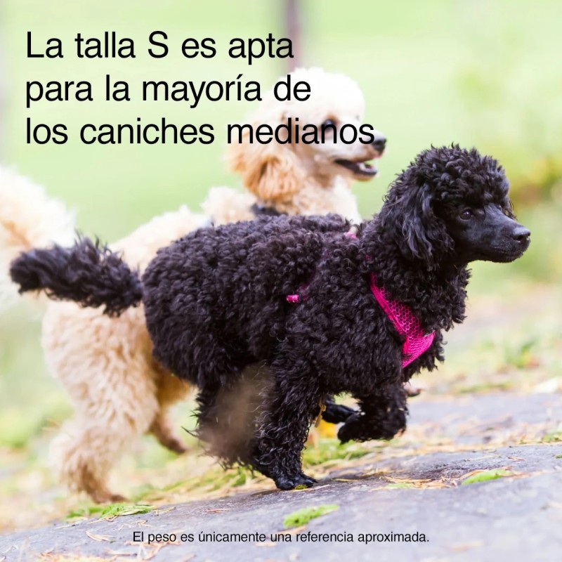 Arnés Rukka Comfort Air fucsia transpirable | Smartdog