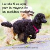 Arnés Rukka Comfort Air fucsia transpirable | Smartdog
