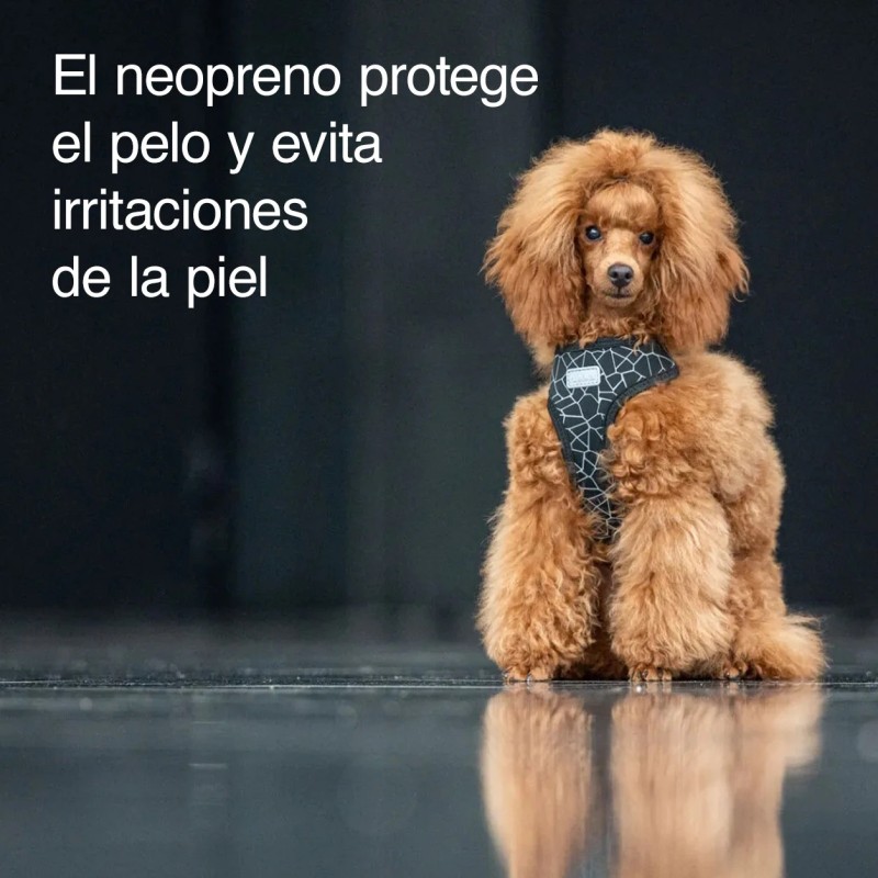 Arnés Rukka Cube Mini rojo para perro pequeño | Smartdog