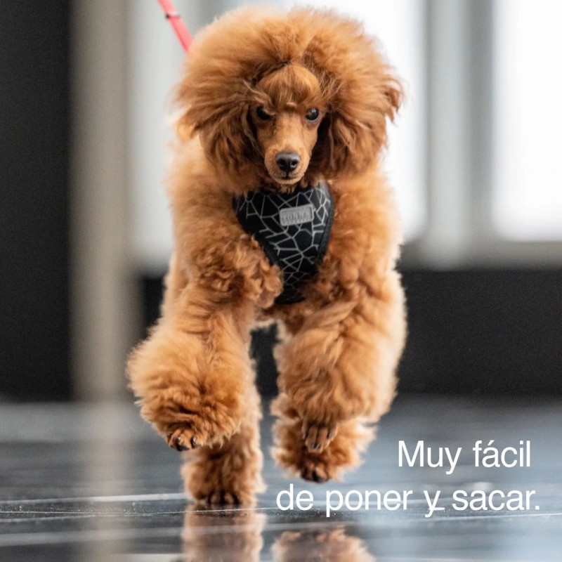 Arnés Rukka Cube Mini rojo para perro pequeño | Smartdog