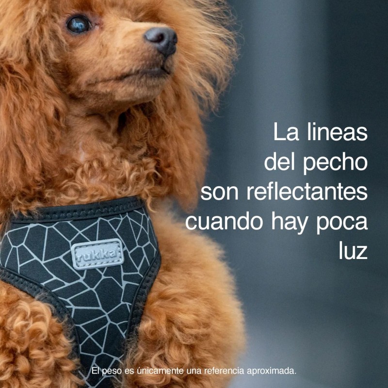 Arnés Rukka Cube Mini rojo para perro pequeño | Smartdog