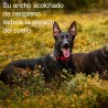 Collar Rukka Cube acolchado y reflectante | Smartdog  Copiar