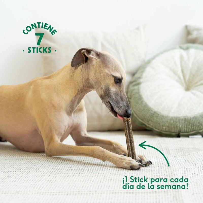 Wild Balance Stick Dental Calming Chill — Snack Dental y Relajante para Perros