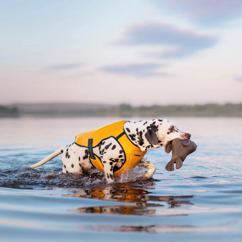 Chaleco salvavidas para perro Rukka Pets Swim