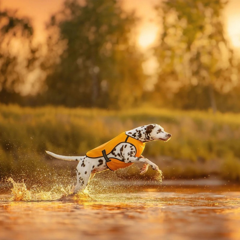 Chaleco salvavidas para perro Rukka Pets Swim