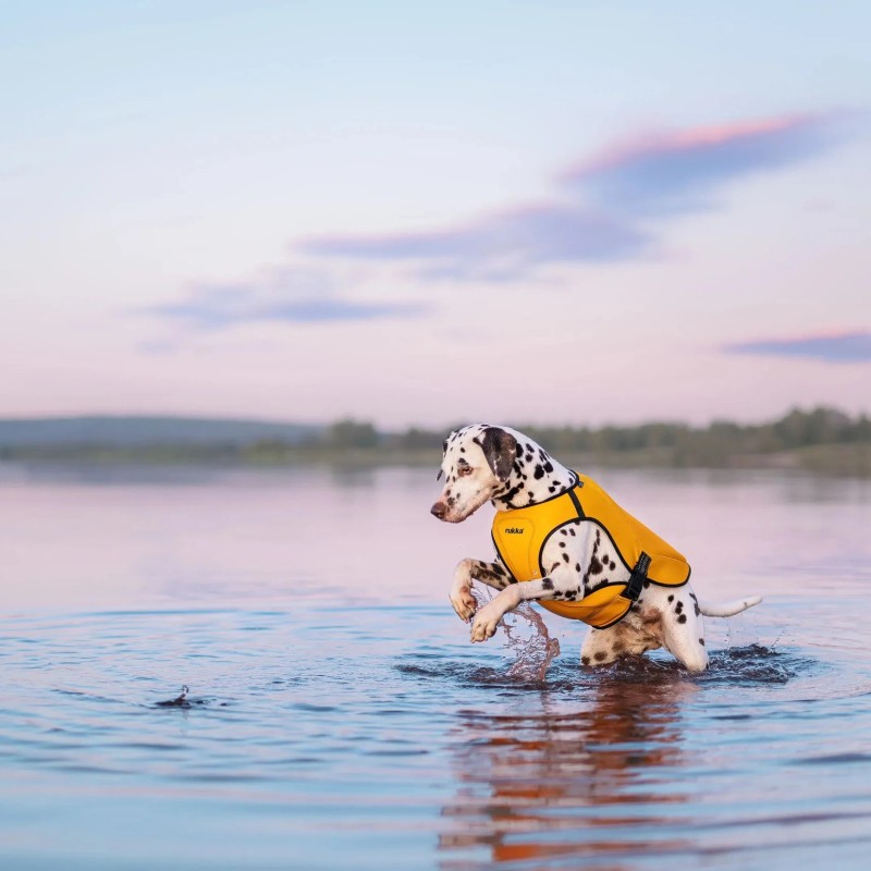 Chaleco salvavidas para perro Rukka Pets Swim