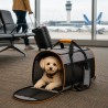 Transportín de Perro Cabina Icepeak Carry-On Bag