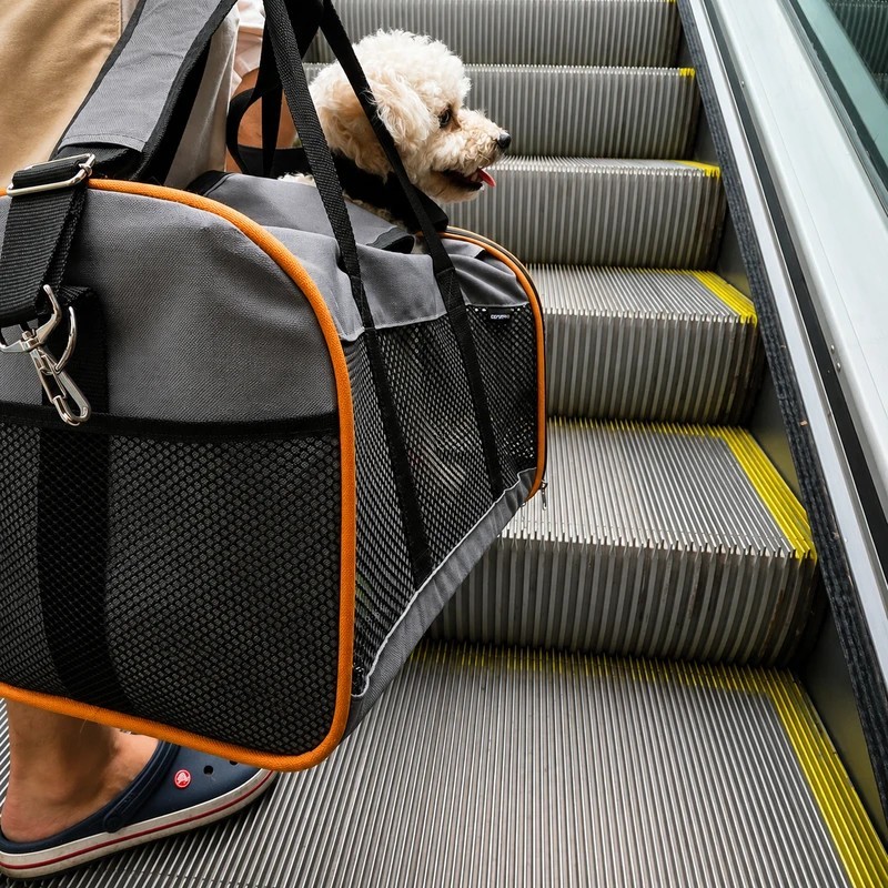 Transportí per gos de cabina Pet Tour Carry-On Bag