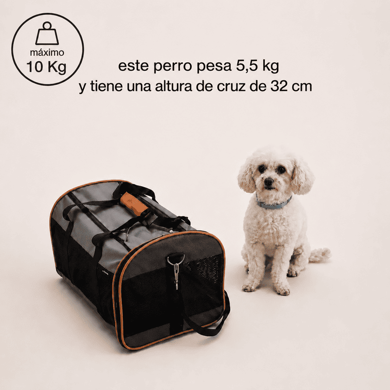 Transportín de Perro Cabina Icepeak Carry-On Bag