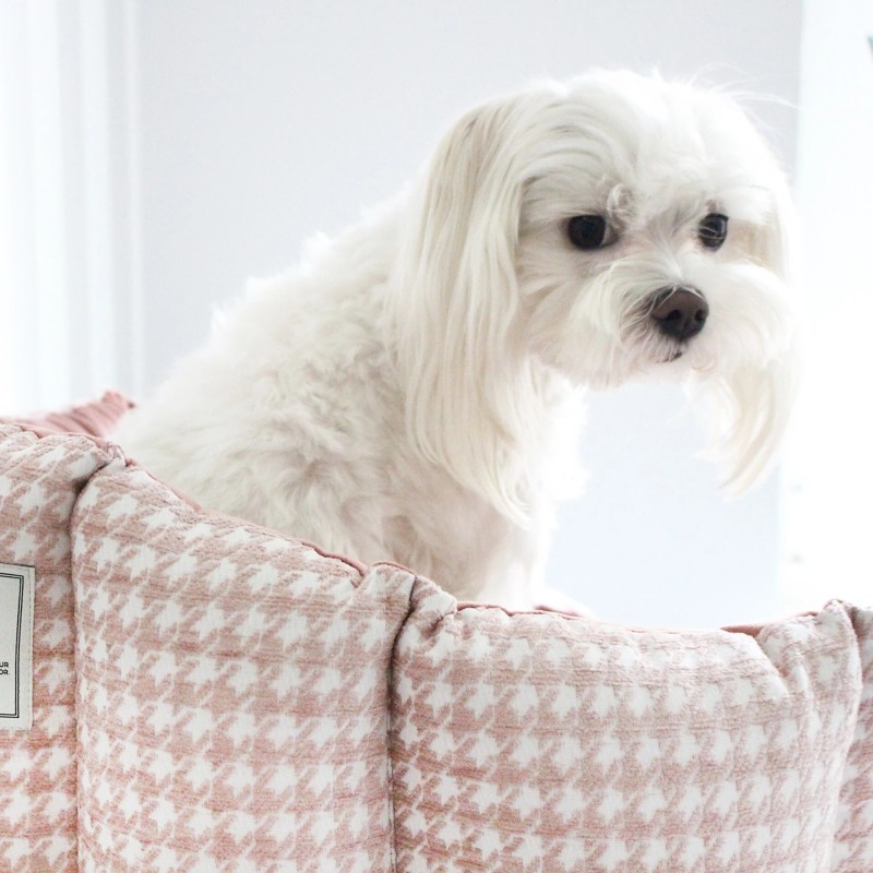 Oh Charlie Glamour | Cama para perro con bordes elevados