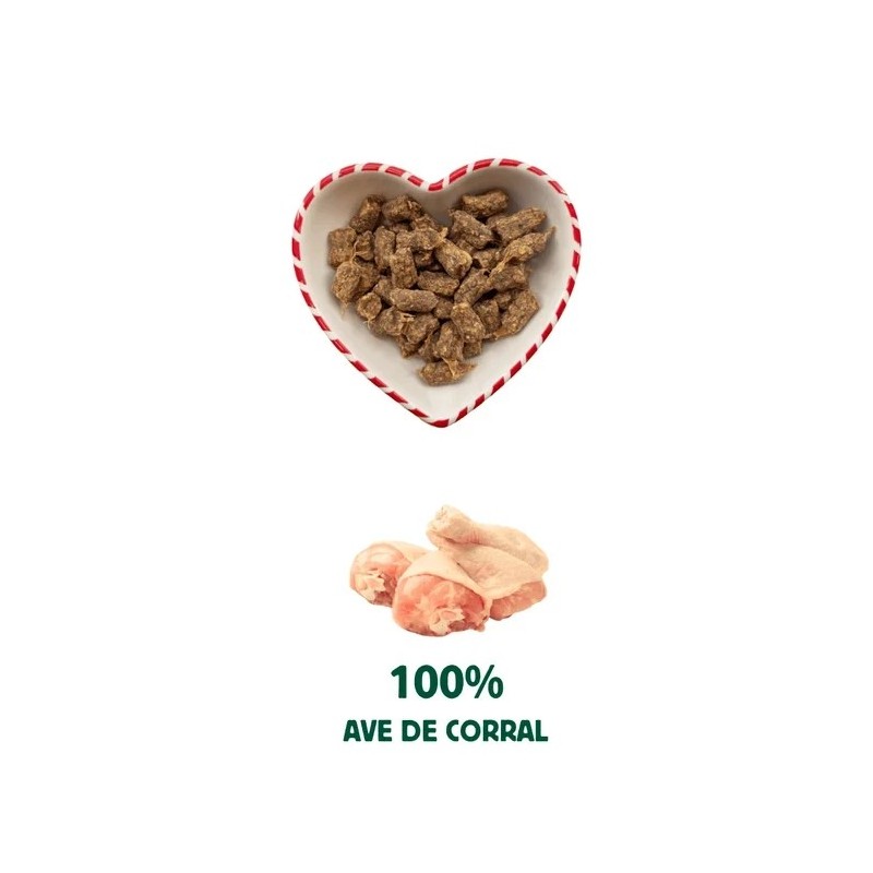 Bocadets de Nadal Wild Balance per a gossos 75 g