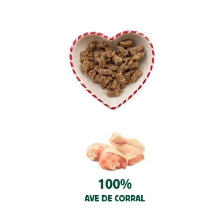 Bocadets de Nadal Wild Balance per a gossos 75 g