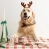 Bocaditos Navidad Wild Balance para perros 75 g