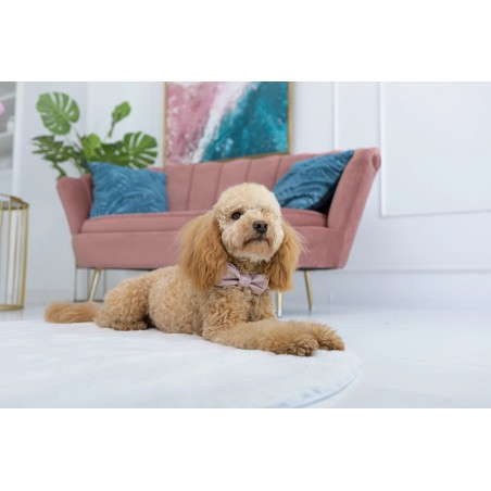 Pajarita para perro La Perla Blue | Oh! Charlie