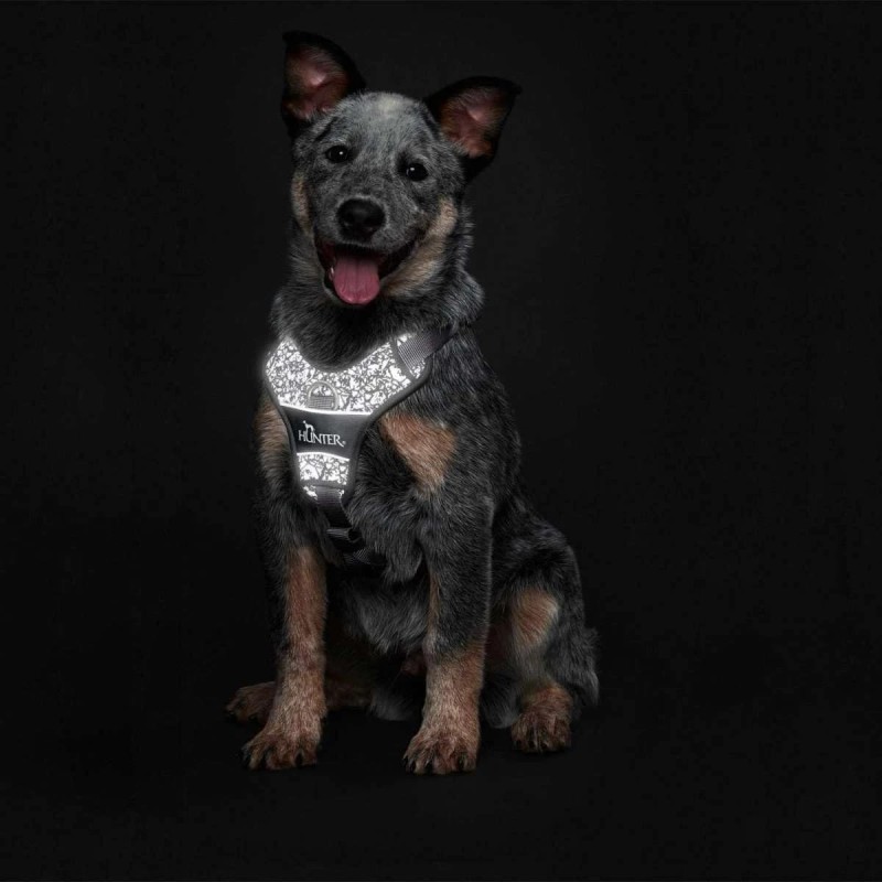 HUNTER DIVO Arnés para Perro Reflectante y Ajustable