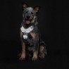 HUNTER DIVO Arnés para Perro Reflectante y Ajustable