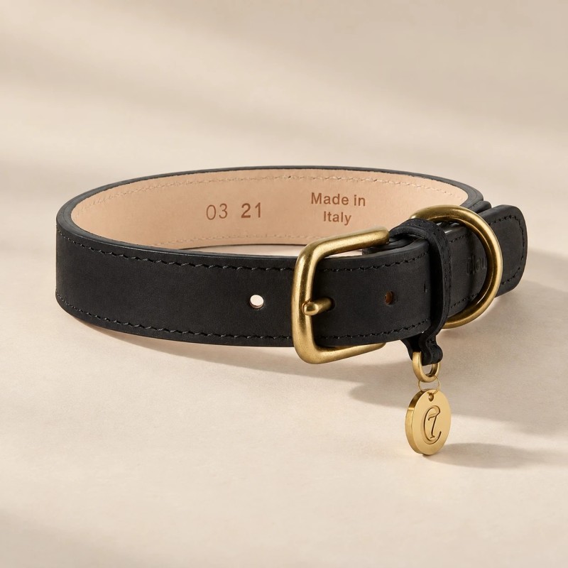 Collar CLOUD7 Tiergarten negro de piel nobuk para perro