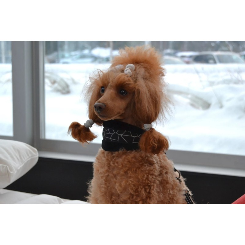Rukka Cube Hound collar encoixinat per a gos | Smartdog