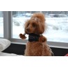 Rukka Cube Hound collar acolchado para perro | Smartdog