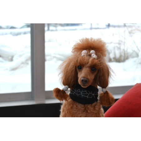Rukka Cube Hound collar encoixinat per a gos | Smartdog
