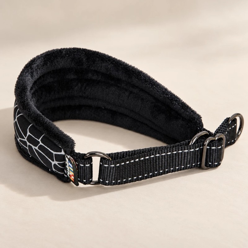 Rukka Cube Hound collar acolchado para perro | Smartdog