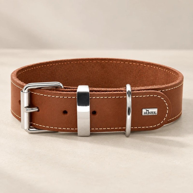 HUNTER Aalborg Special | Collar de cuir per a gos