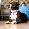 Correa Max & Molly Cherry Bloom 120 cm | Smartdog