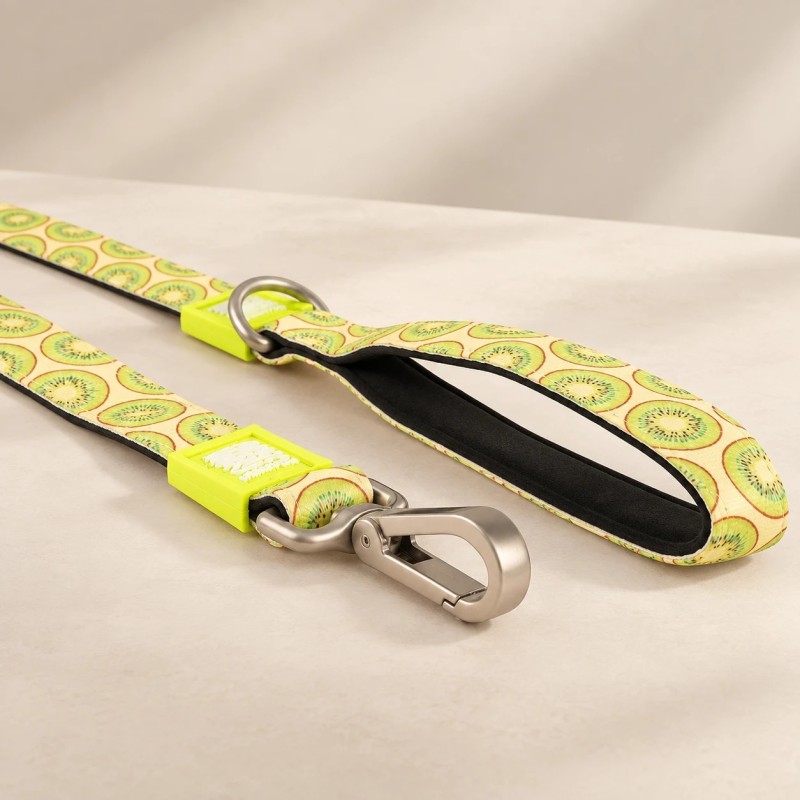 Correa Max & Molly Kiwi 120 cm para perro | Smartdog