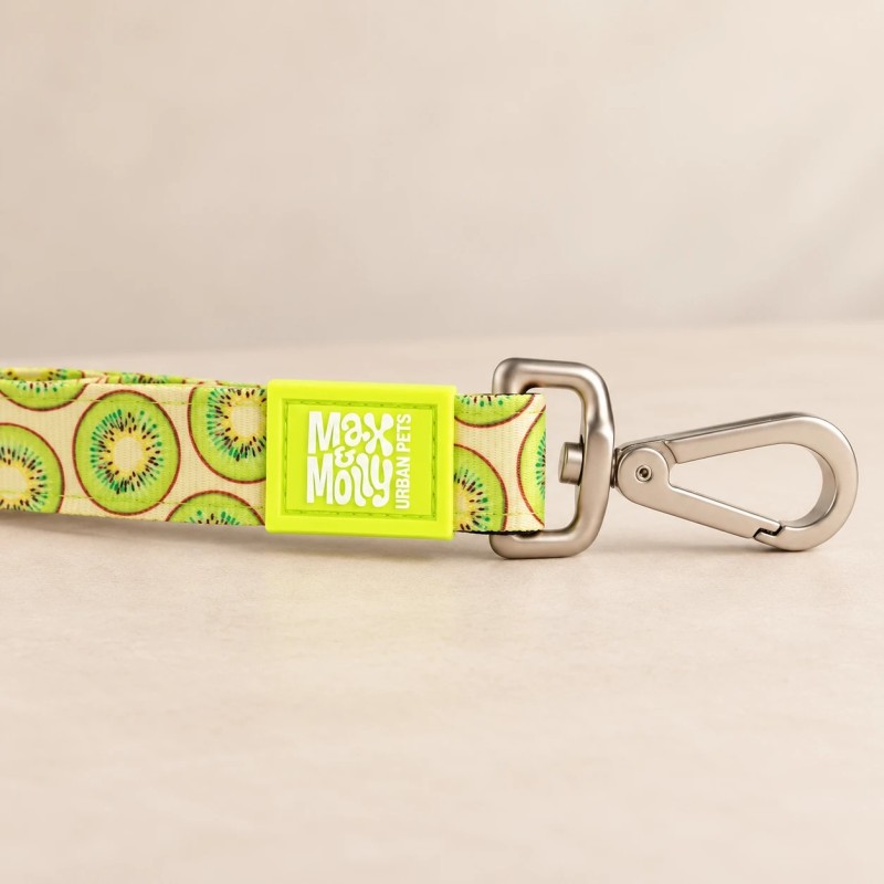 Corretja Max & Molly Kiwi 120 cm per a gos | Smartdog