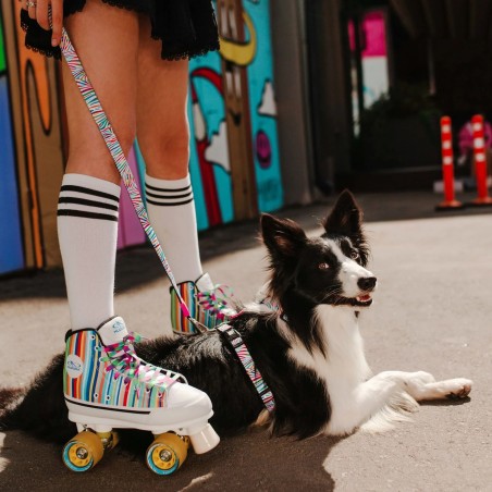 Arnés Max & Molly Magic Zebra H ajustable para perro