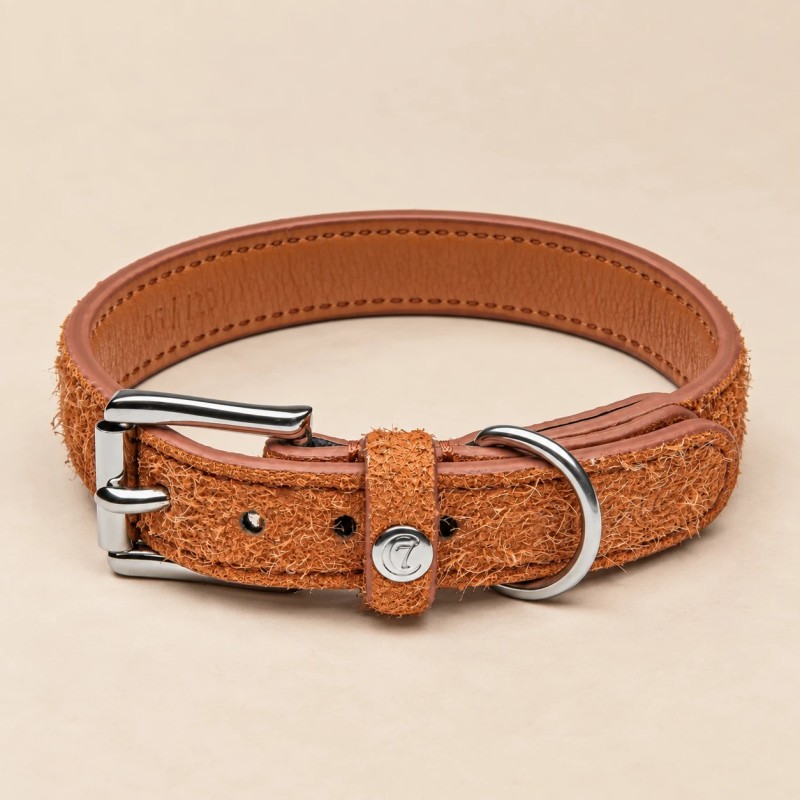 Cloud7 Hofgarten collar de piel para perro | Smartdog