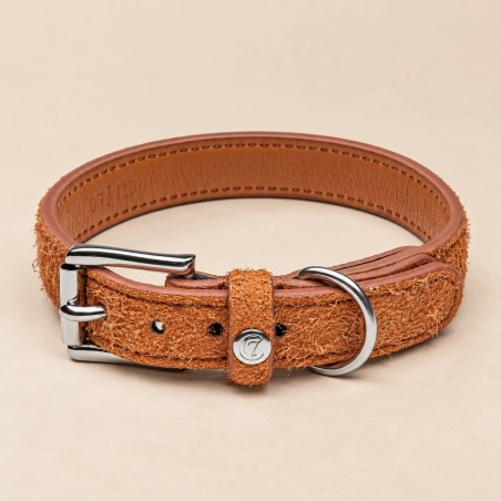 Cloud7 Hofgarten collar de pell per a gos | Smartdog