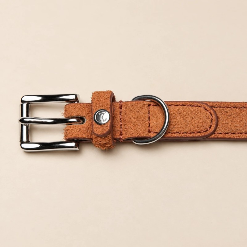 Cloud7 Hofgarten collar de pell per a gos | Smartdog